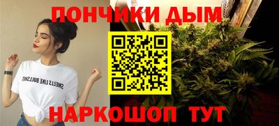 гидропоника Шебекино