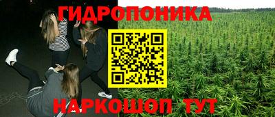 эйфоретик Шахты